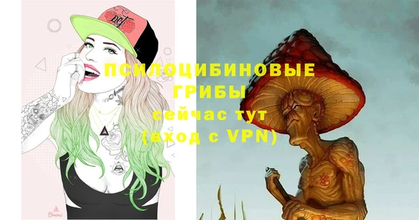 не бодяженный Аркадак