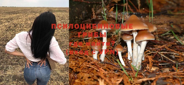 a pvp Арсеньев